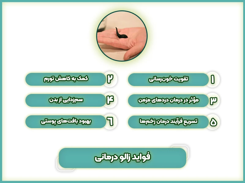 فواید زالو درمانی