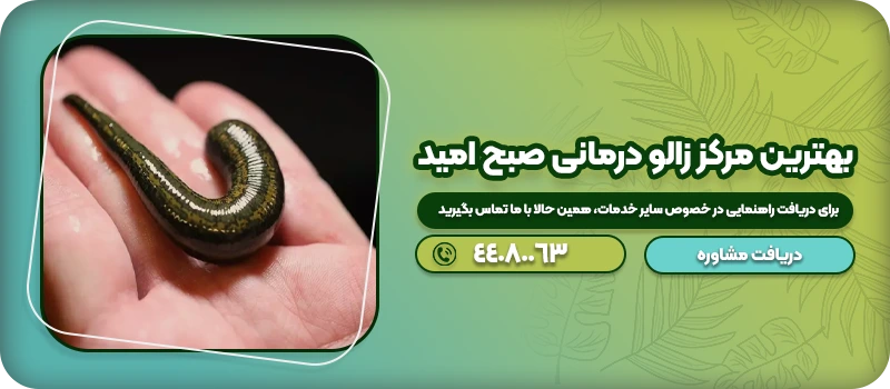 مرکز زالو درمانی صبح امید