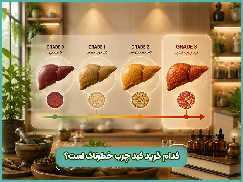 درمان کبد چرب در طب سنتی 66 کدام گرید کبد چرب خطرناک است؟